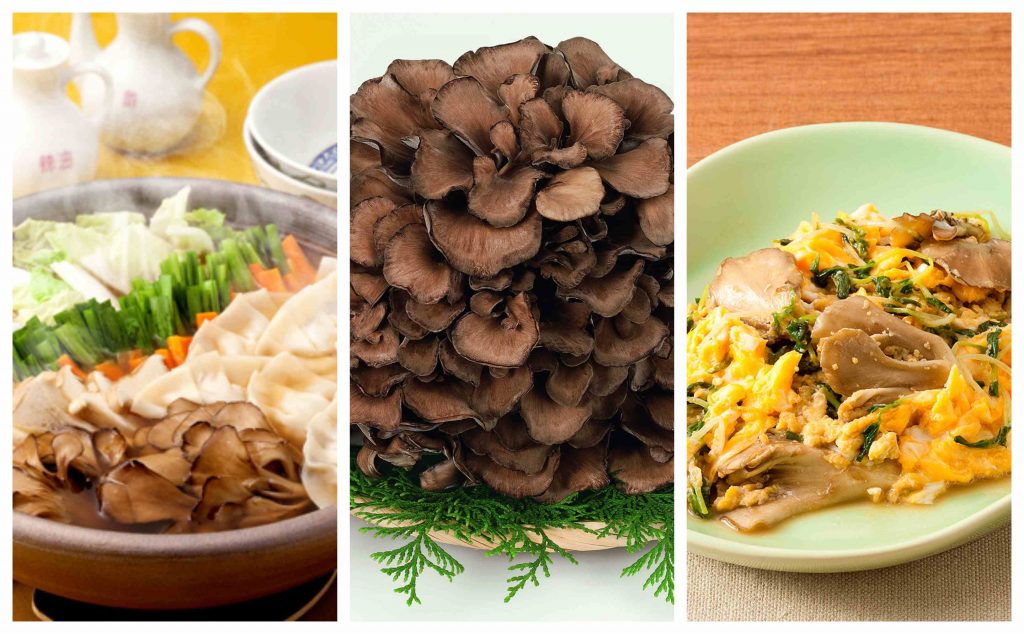 Maitake Mushroom The New Superfood for AntiAging and Immune Boosting