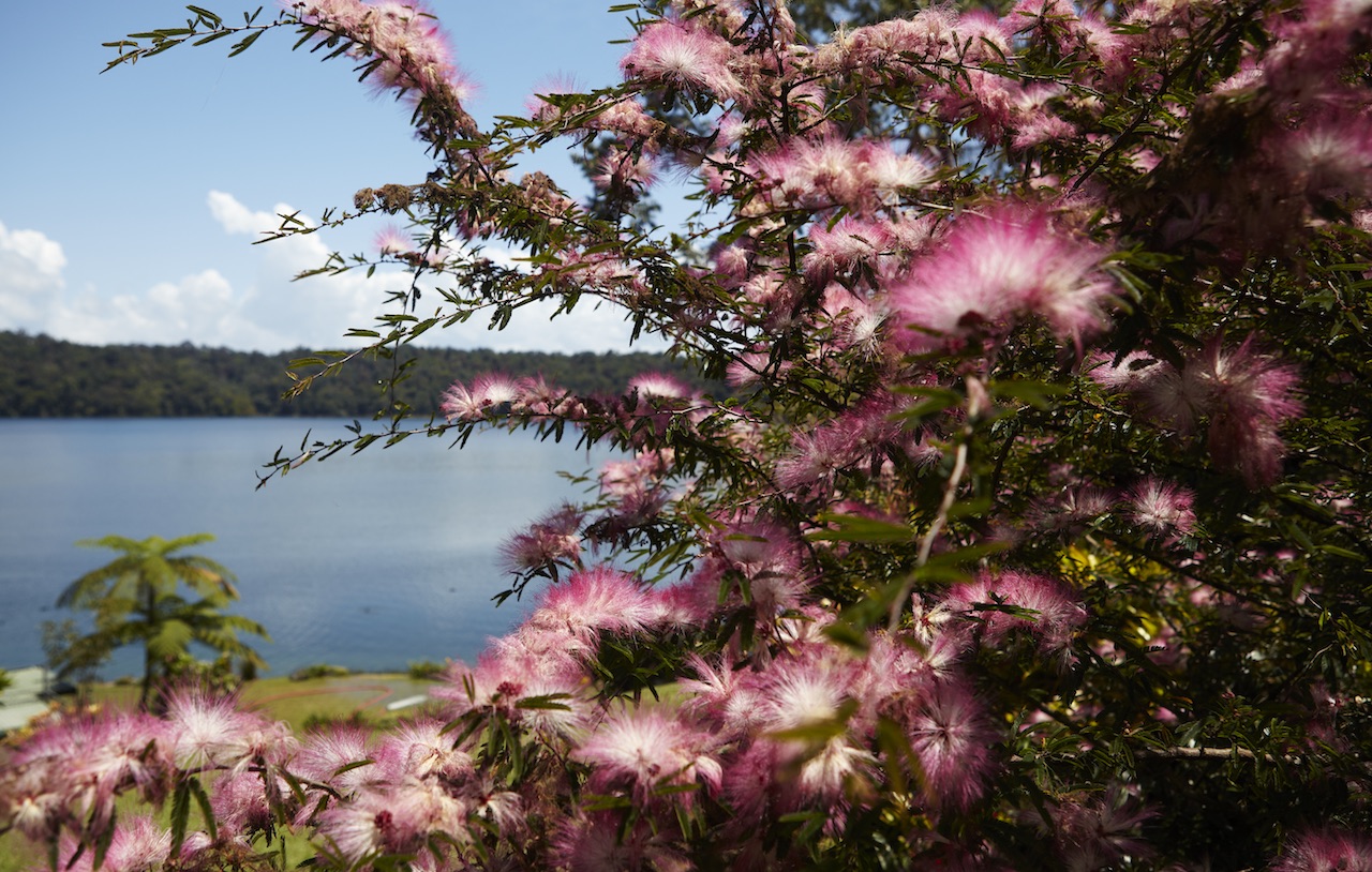 Eight Reasons To Visit Australia in Spring and Summer | Pamper.My