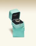 11715966_Tiffany & Co. Schlumberger Sixteen Stone ring with diamonds