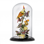 Swarovski_Idyllia Birds and Butterflies Bell Jar